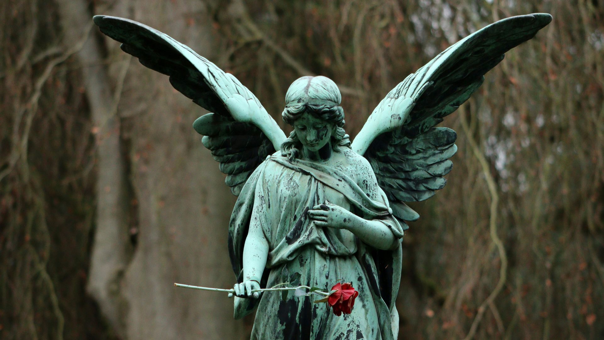 Joyful Possibilities